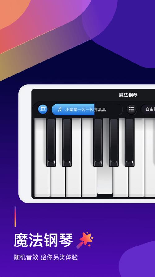 钢琴弹奏大师无删减版缩略图