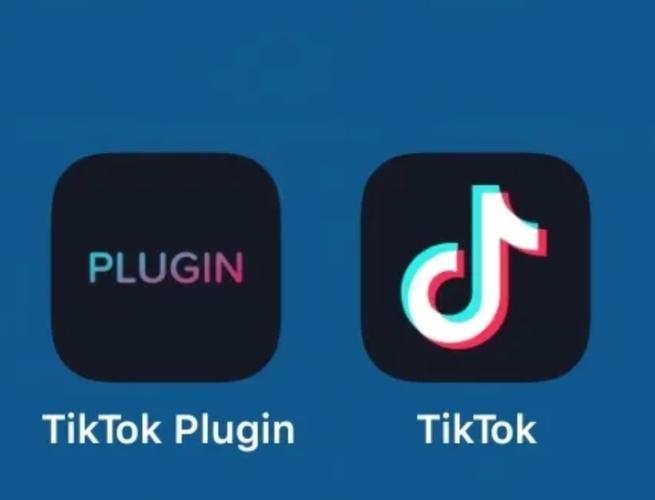 抖音国际版 tiktok破解版永久vip缩略图