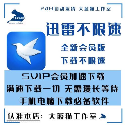 迅雷无限速破解版安卓2019缩略图