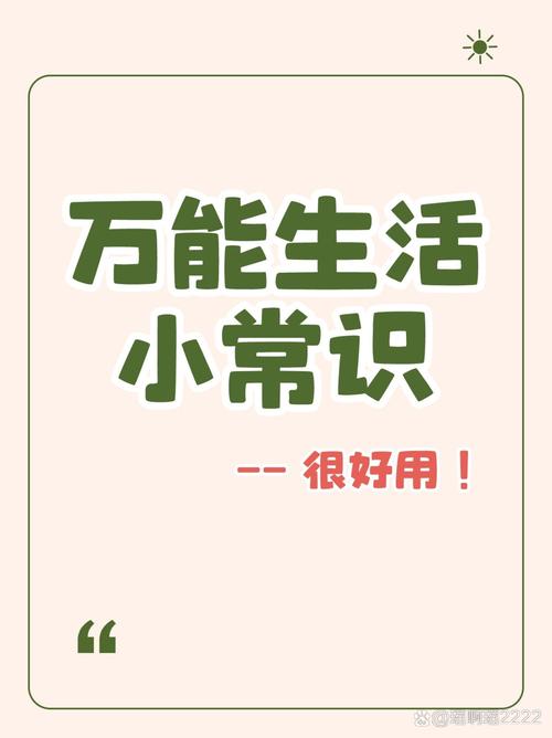 小生活最新版破解内置菜单无广告正版游戏截图