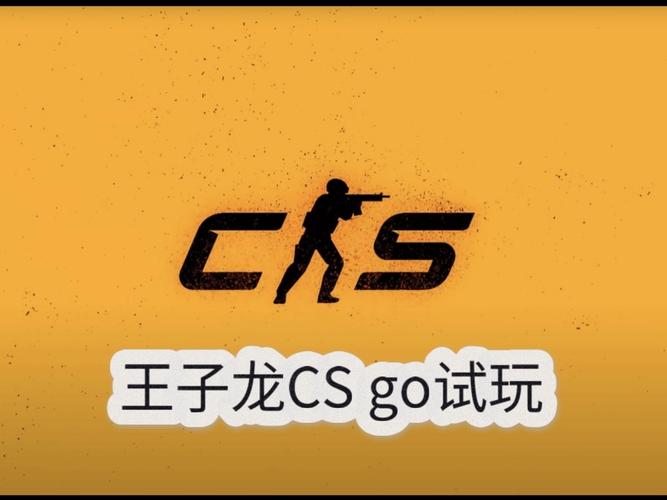 王子龙自制CSGO游戏截图