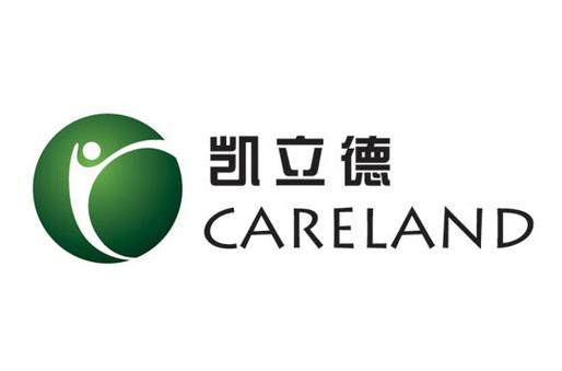 凯立德导航官网游戏截图
