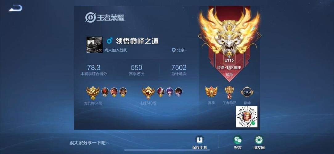 王者荣耀战绩强制查看软件精产国品免费老版游戏截图