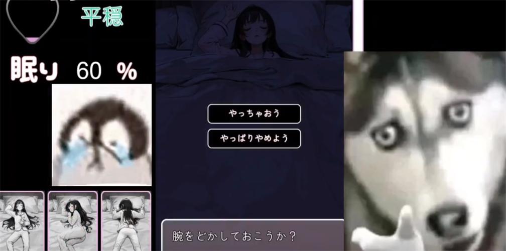 睡眠侵犯模拟器4安卓免费版手机正版图标