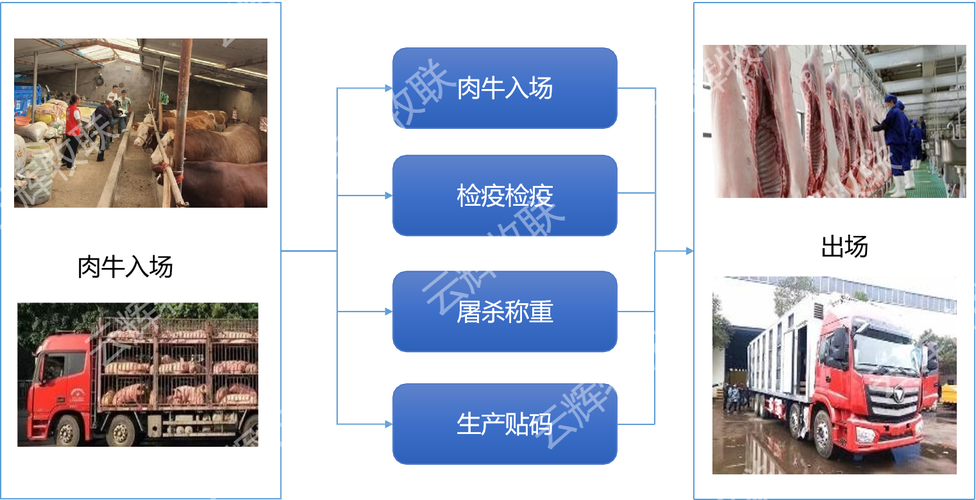 塔斯牧联
