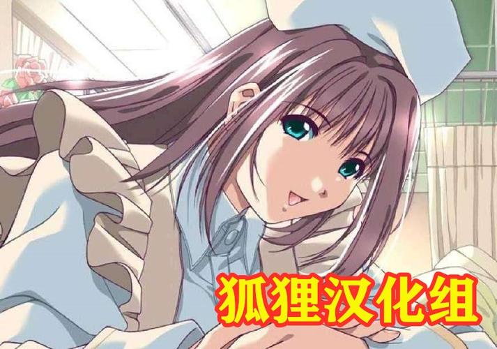 狐狸汉化组游戏合集无删减福利版游戏截图