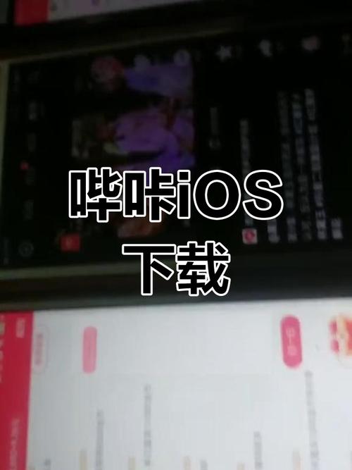 哔咔哔咔ios版安装教程缩略图