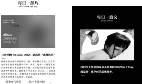 成人one一个APP污版