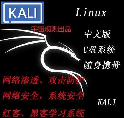 kalilinux安装视频看书版游戏截图