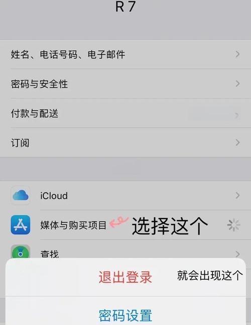 网吧模拟器怎么退出登陆账号啊苹果游戏截图