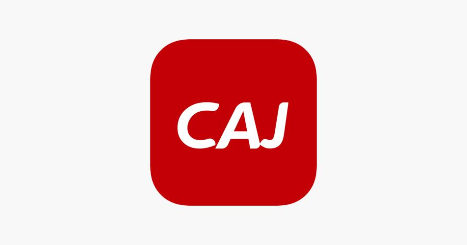 cajapk直装版游戏截图