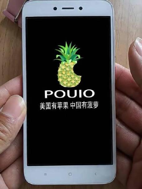 菠萝神辅助器纯净版缩略图