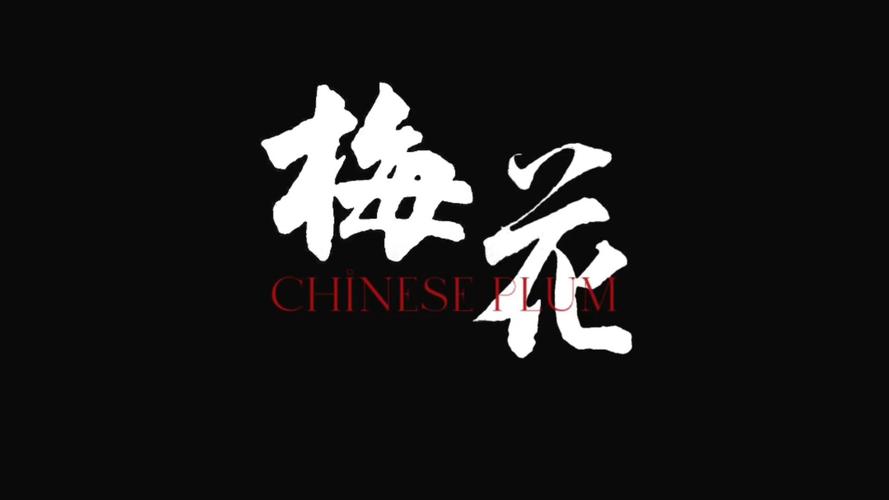 梅花视频破解版缩略图