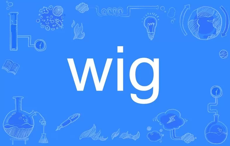 wig