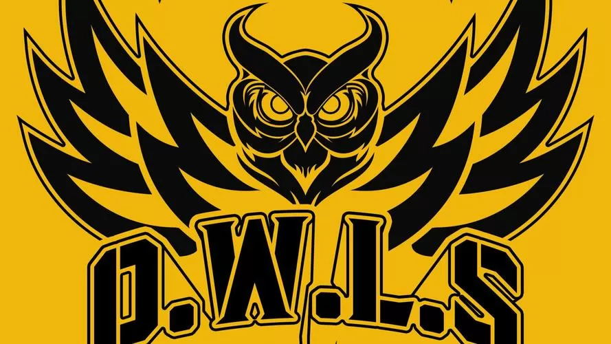 owl缩略图