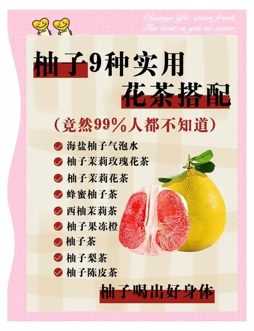 柚子茶的功效游戏截图