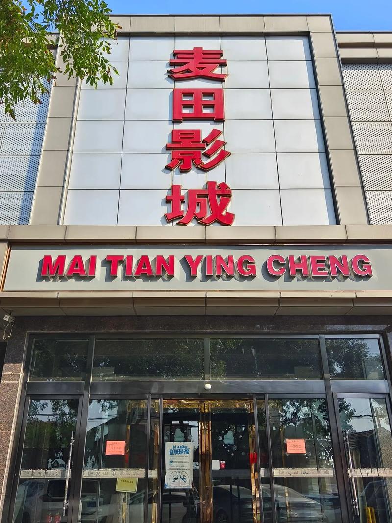 麦田影院游戏截图