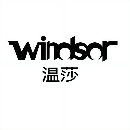 温莎播放器游戏截图