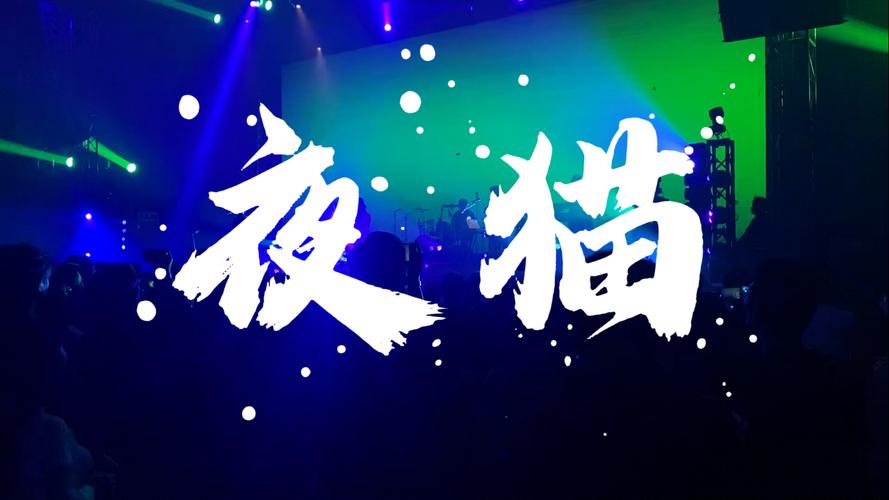 夜猫影视游戏截图
