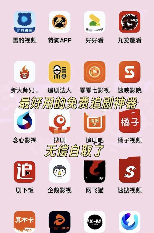 分母追剧仲夏版游戏截图