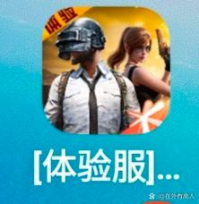 体验服和平精英体验下载缩略图