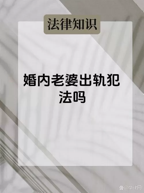 女人出轨法律怎么判游戏截图