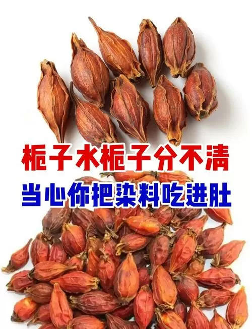 栀子仁和栀子的区别