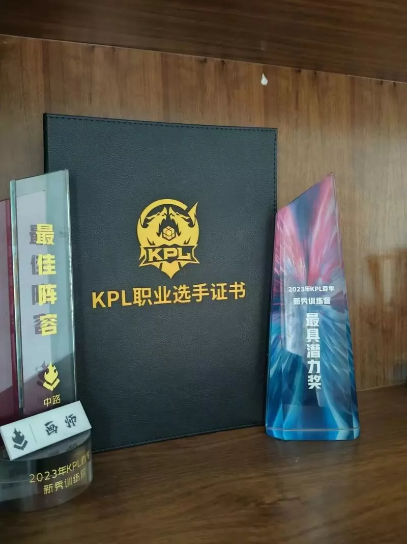 kpl职业选手官方认证代码缩略图