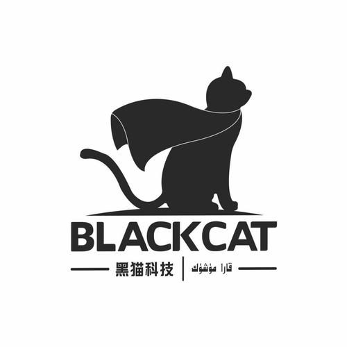 黑猫加速器官网下载缩略图
