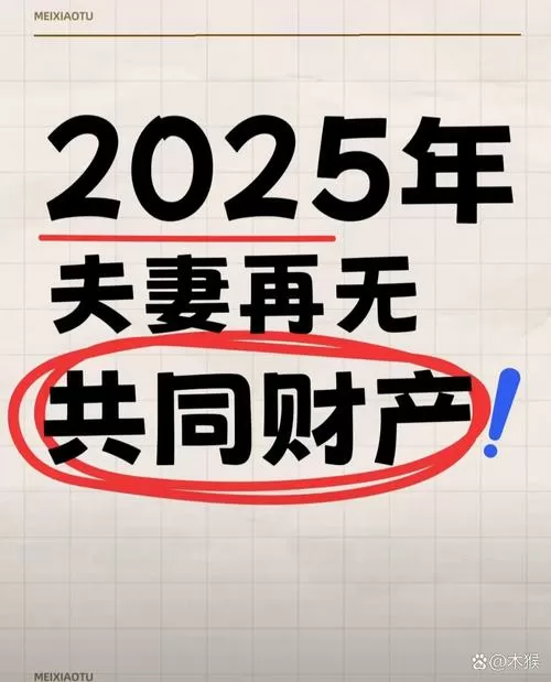 新婚姻法没有夫妻共同财产吗
