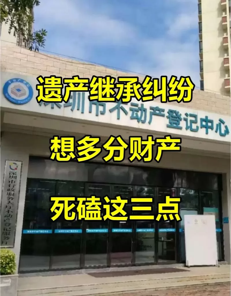 遗产继承纠纷真实案例