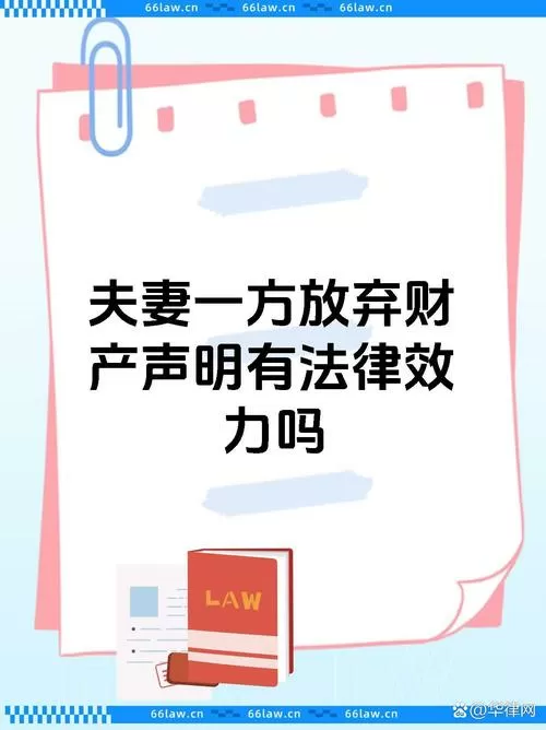 取消夫妻共同财产游戏截图