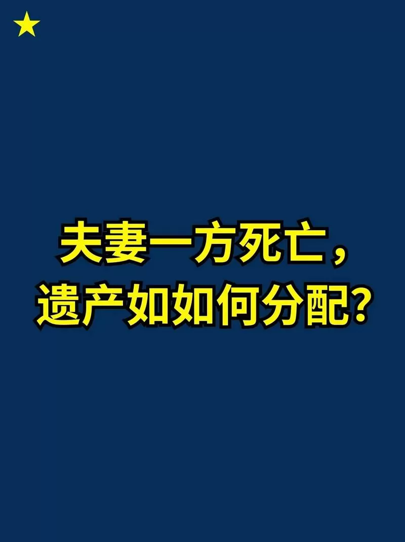 丈夫死后遗产分配原则游戏截图
