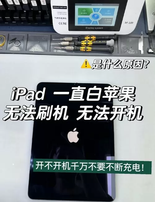 ipad白苹果一闪一闪开不了机图标