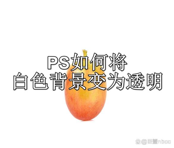 ps怎么将白色背景改为透明缩略图