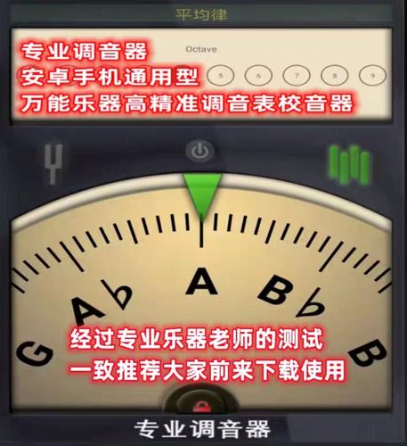 琵琶在线调音器经典版
