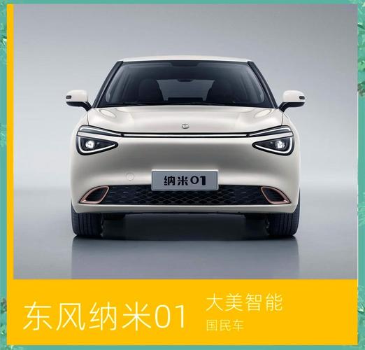 东风纳米新能源车01极速版缩略图