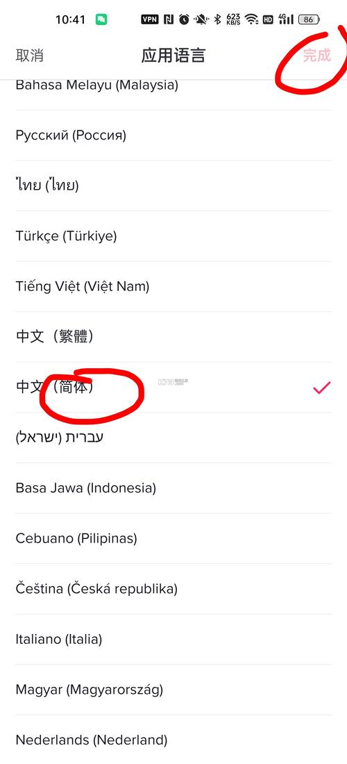 国外版抖音tiktok永久免更新