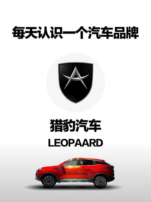 猎豹加速到100公里需要几秒黄化版游戏截图
