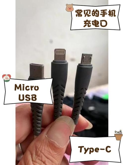 手机充电接口类型无广告纯净版游戏截图
