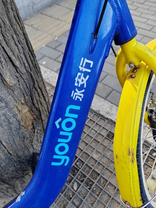 妙看领红包极速版精简版游戏截图