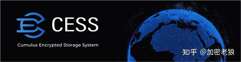 alphanetwork最新消息加速永久永久免更新缩略图