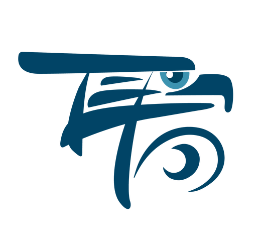 鹰眼软件