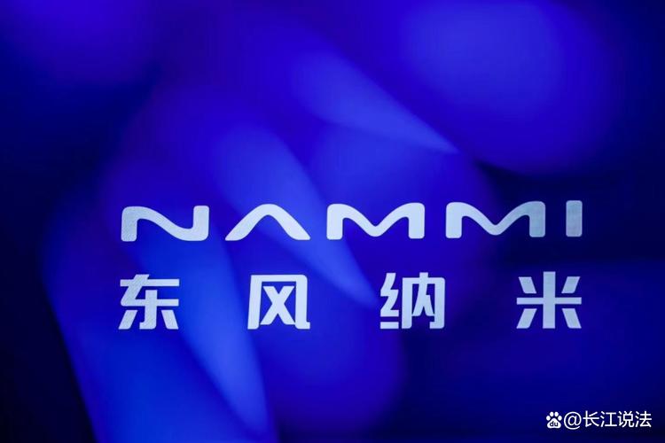 东风纳米01口碑缩略图