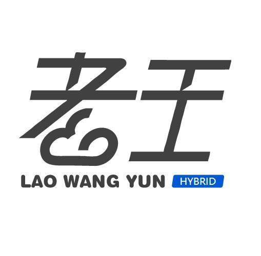 老王外网连接器游戏截图