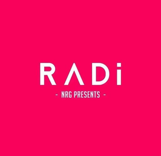 Radmin官网游戏截图