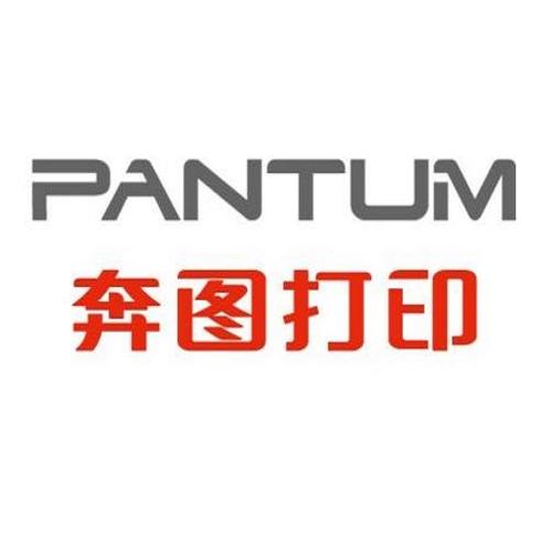 奔图P1000驱动最新版本更新内容最新tv版游戏截图