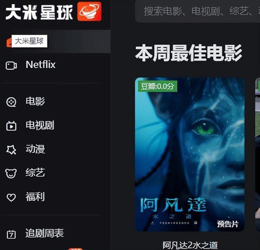 大米星球netflix111光环加速版