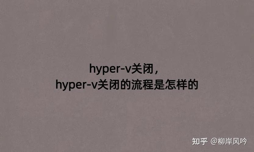 hyperv建议关闭吗游戏截图