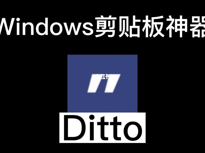 ditto软件去广告版永久vip游戏截图